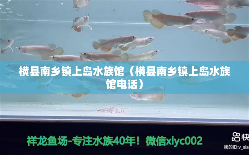 橫縣南鄉(xiāng)鎮(zhèn)上島水族館（橫縣南鄉(xiāng)鎮(zhèn)上島水族館電話）