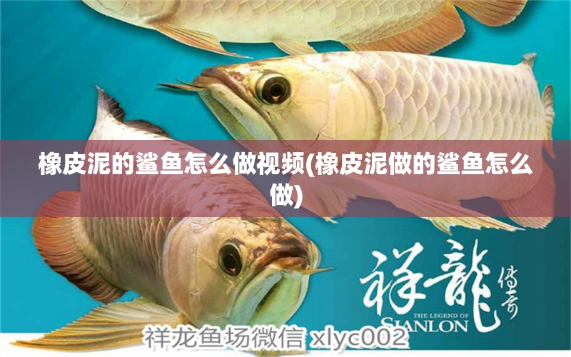 橡皮泥的鯊魚怎么做視頻(橡皮泥做的鯊魚怎么做) 彩鰈魚缸（彩蝶魚缸）