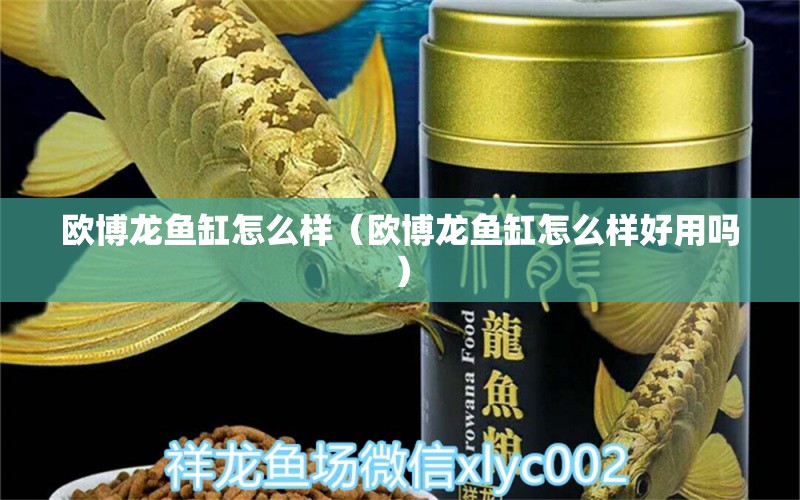 歐博龍魚缸怎么樣（歐博龍魚缸怎么樣好用嗎）