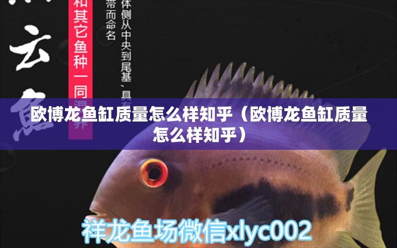 歐博龍魚缸質量怎么樣知乎（歐博龍魚缸質量怎么樣知乎）