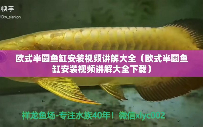 歐式半圓魚缸安裝視頻講解大全（歐式半圓魚缸安裝視頻講解大全下載） 廣州水族批發(fā)市場