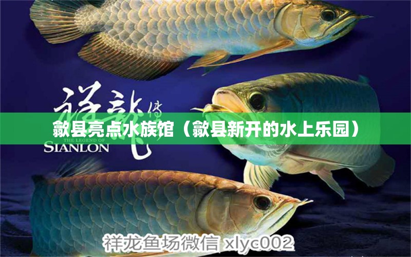 歙縣亮點(diǎn)水族館（歙縣新開(kāi)的水上樂(lè)園） 全國(guó)水族館企業(yè)名錄