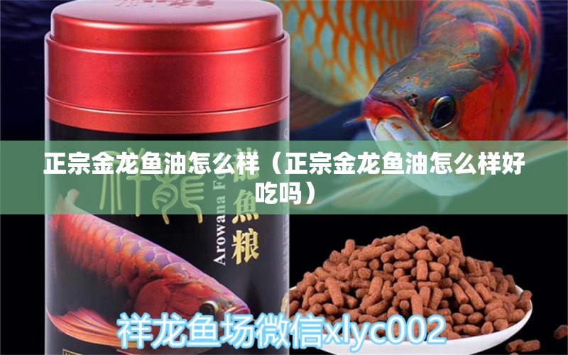 正宗金龍魚油怎么樣（正宗金龍魚油怎么樣好吃嗎） 黃金招財(cái)貓魚