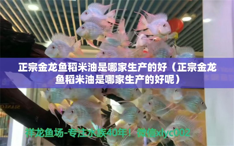 正宗金龍魚稻米油是哪家生產(chǎn)的好（正宗金龍魚稻米油是哪家生產(chǎn)的好呢）