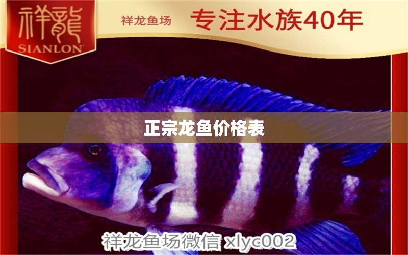 正宗龍魚價格表 龍魚批發(fā)