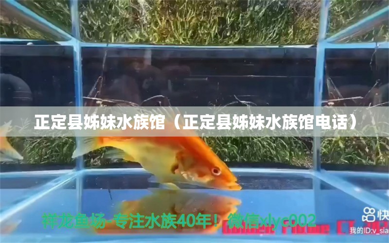 正定縣姊妹水族館（正定縣姊妹水族館電話） 全國水族館企業(yè)名錄