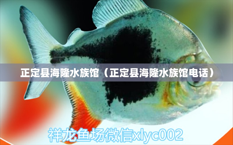 正定縣海隆水族館（正定縣海隆水族館電話） 全國水族館企業(yè)名錄