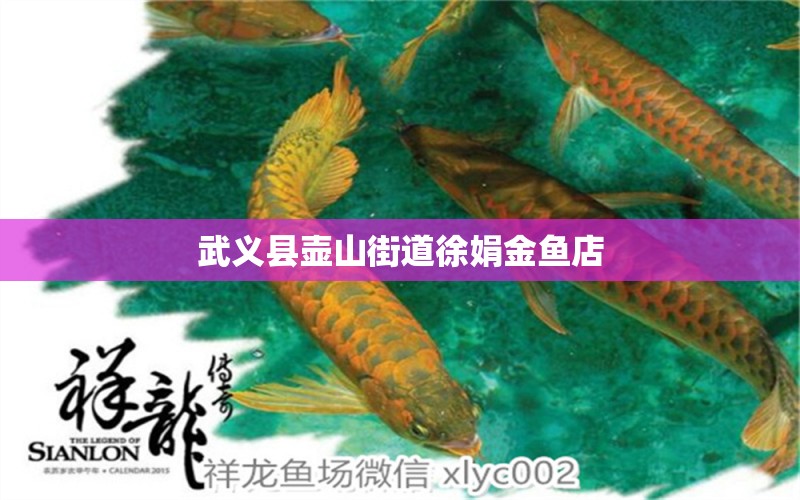 武義縣壺山街道徐娟金魚店 全國(guó)水族館企業(yè)名錄