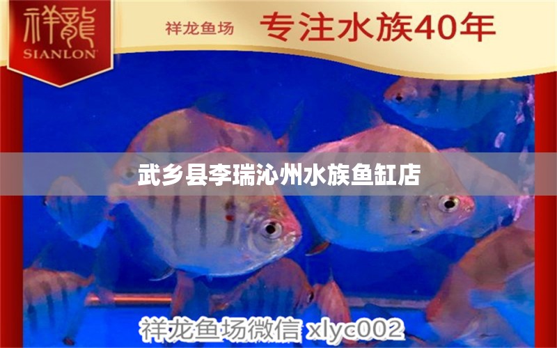 武鄉(xiāng)縣李瑞沁州水族魚缸店