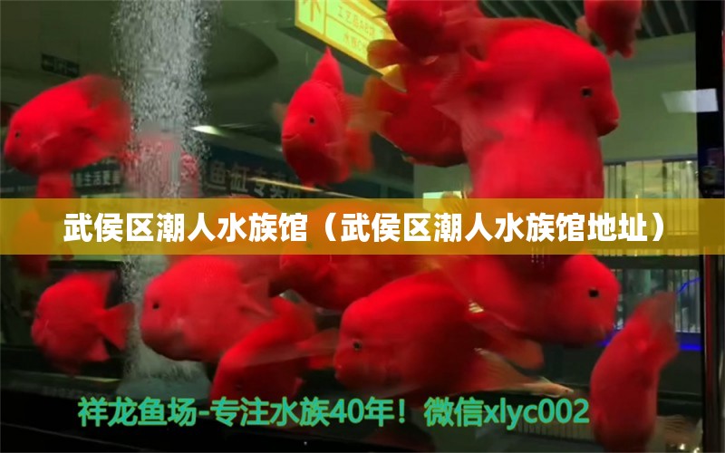 武侯區(qū)潮人水族館（武侯區(qū)潮人水族館地址）