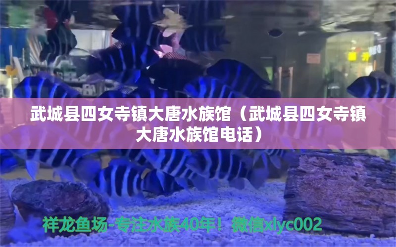 武城縣四女寺鎮(zhèn)大唐水族館（武城縣四女寺鎮(zhèn)大唐水族館電話）