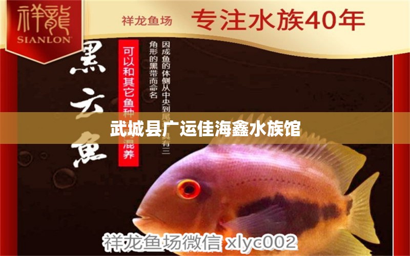 武城縣廣運(yùn)佳海鑫水族館 全國(guó)水族館企業(yè)名錄