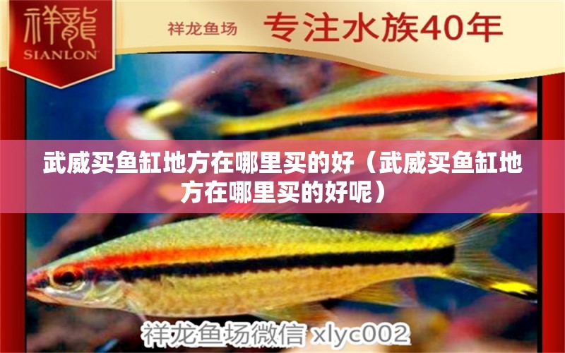 武威買魚缸地方在哪里買的好（武威買魚缸地方在哪里買的好呢）