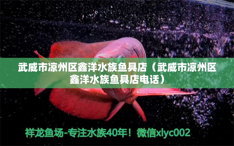 武威市涼州區(qū)鑫洋水族魚具店（武威市涼州區(qū)鑫洋水族魚具店電話）