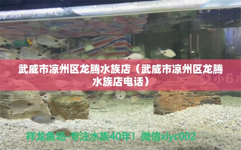 武威市涼州區(qū)龍騰水族店（武威市涼州區(qū)龍騰水族店電話） 全國水族館企業(yè)名錄