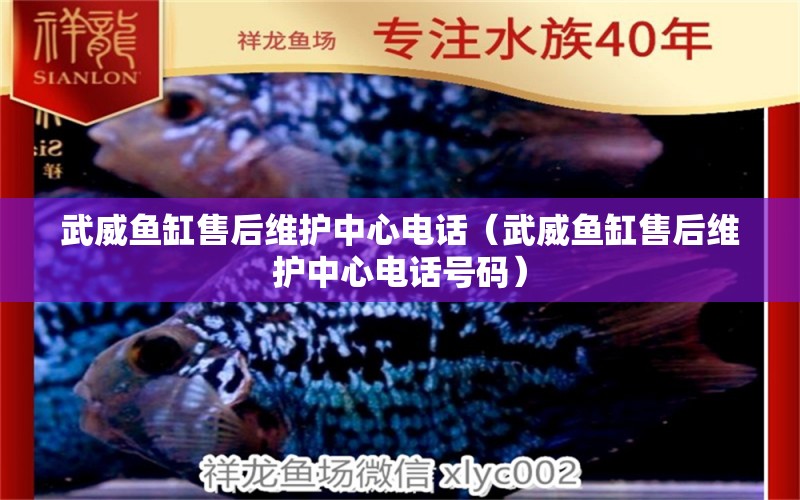 武威魚缸售后維護(hù)中心電話（武威魚缸售后維護(hù)中心電話號(hào)碼） 其他品牌魚缸