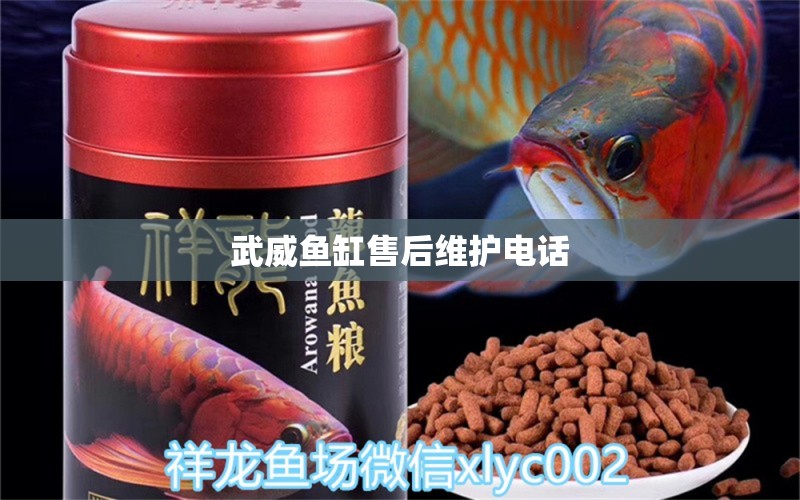 武威魚缸售后維護(hù)電話 其他品牌魚缸