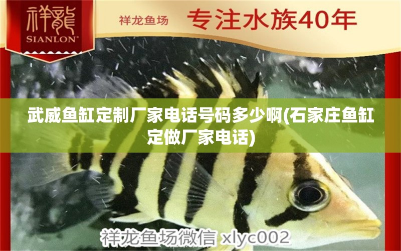 武威魚缸定制廠家電話號碼多少啊(石家莊魚缸定做廠家電話)