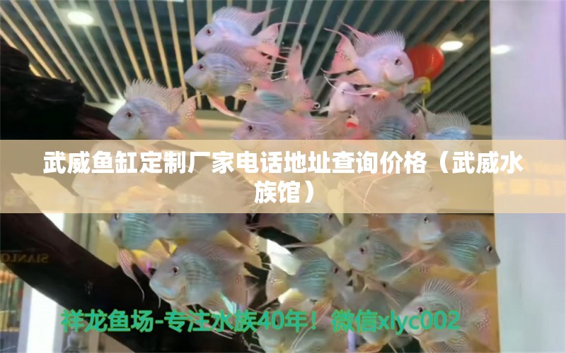 武威魚缸定制廠家電話地址查詢價格（武威水族館）