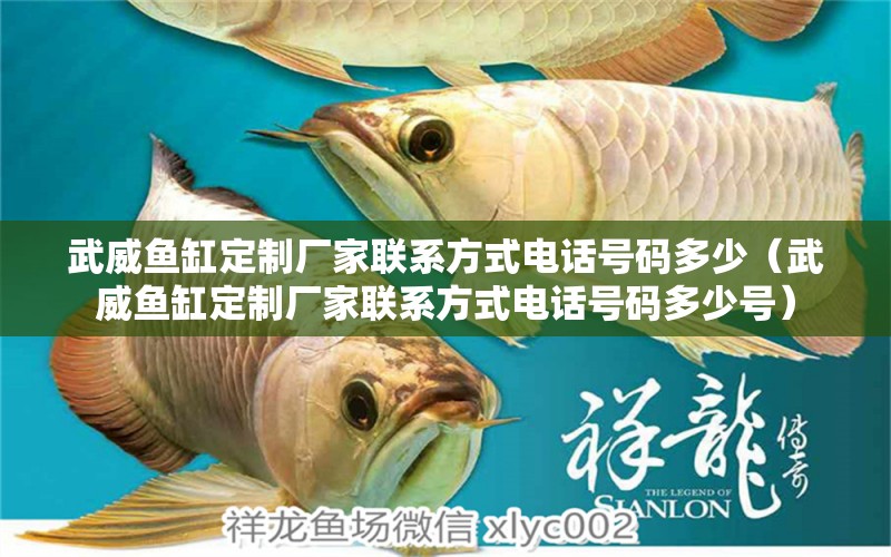 武威魚缸定制廠家聯(lián)系方式電話號碼多少（武威魚缸定制廠家聯(lián)系方式電話號碼多少號）