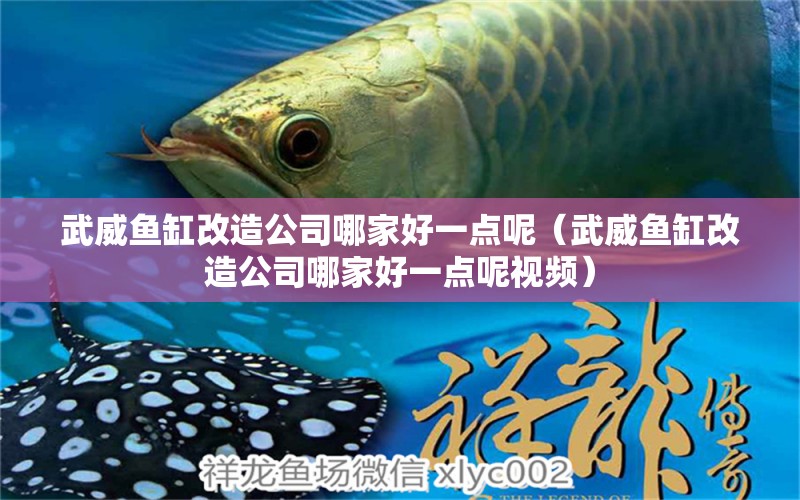 武威魚缸改造公司哪家好一點(diǎn)呢（武威魚缸改造公司哪家好一點(diǎn)呢視頻） 祥龍水族醫(yī)院