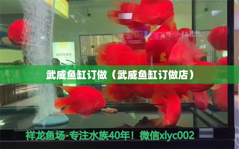 武威魚缸訂做（武威魚缸訂做店） 廣州龍魚批發(fā)市場