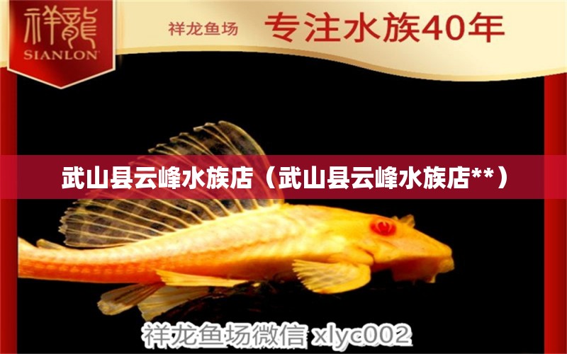 武山縣云峰水族店（武山縣云峰水族店**）