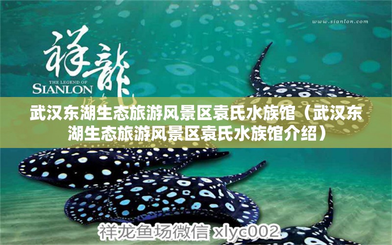 武漢東湖生態(tài)旅游風(fēng)景區(qū)袁氏水族館（武漢東湖生態(tài)旅游風(fēng)景區(qū)袁氏水族館介紹）