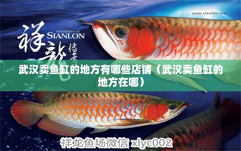 武漢賣魚缸的地方有哪些店鋪（武漢賣魚缸的地方在哪）