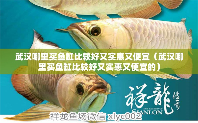 武漢哪里買魚缸比較好又實惠又便宜（武漢哪里買魚缸比較好又實惠又便宜的） 祥龍水族醫(yī)院