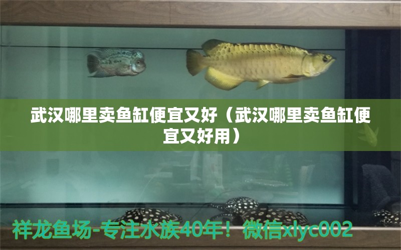 武漢哪里賣(mài)魚(yú)缸便宜又好（武漢哪里賣(mài)魚(yú)缸便宜又好用）