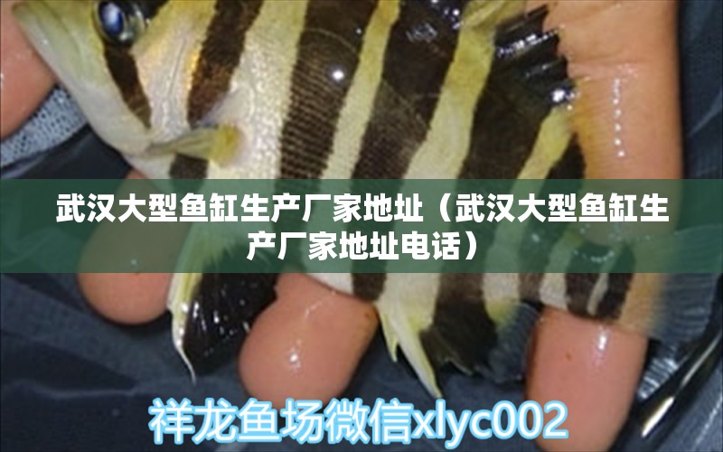 武漢大型魚缸生產(chǎn)廠家地址（武漢大型魚缸生產(chǎn)廠家地址電話） 其他品牌魚缸