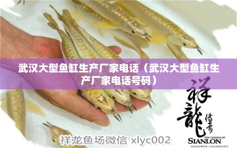 武漢大型魚缸生產(chǎn)廠家電話（武漢大型魚缸生產(chǎn)廠家電話號(hào)碼） 其他品牌魚缸