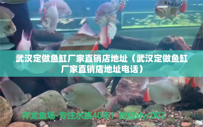 武漢定做魚缸廠家直銷店地址（武漢定做魚缸廠家直銷店地址電話）