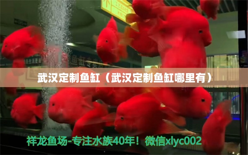 武漢定制魚缸（武漢定制魚缸哪里有） 其他品牌魚缸