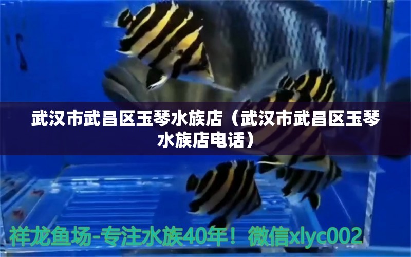 武漢市武昌區(qū)玉琴水族店（武漢市武昌區(qū)玉琴水族店電話） 全國水族館企業(yè)名錄