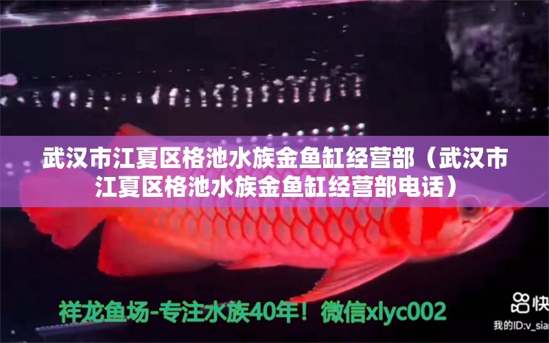 武漢市江夏區(qū)格池水族金魚缸經(jīng)營部（武漢市江夏區(qū)格池水族金魚缸經(jīng)營部電話）