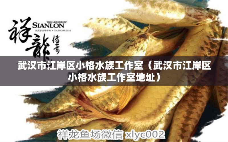 武漢市江岸區(qū)小格水族工作室（武漢市江岸區(qū)小格水族工作室地址） 全國水族館企業(yè)名錄