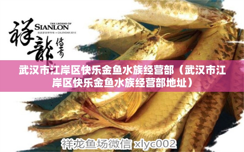 武漢市江岸區(qū)快樂金魚水族經(jīng)營部（武漢市江岸區(qū)快樂金魚水族經(jīng)營部地址） 全國水族館企業(yè)名錄