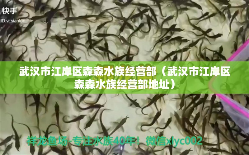 武漢市江岸區(qū)森森水族經(jīng)營部（武漢市江岸區(qū)森森水族經(jīng)營部地址） 全國水族館企業(yè)名錄