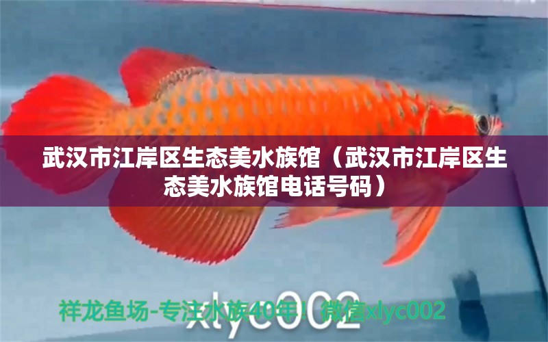 武漢市江岸區(qū)生態(tài)美水族館（武漢市江岸區(qū)生態(tài)美水族館電話號碼）