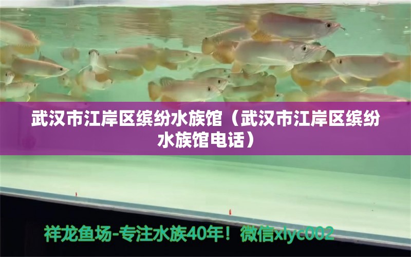 武漢市江岸區(qū)繽紛水族館（武漢市江岸區(qū)繽紛水族館電話）