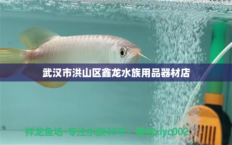 武漢市洪山區(qū)鑫龍水族用品器材店