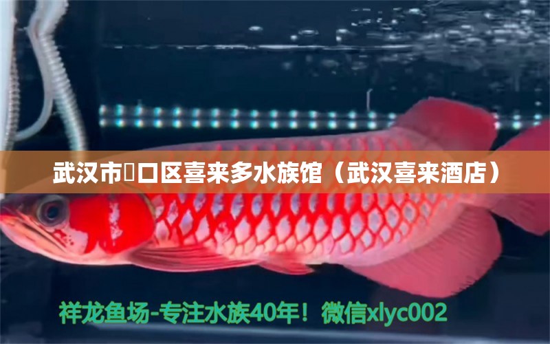 武漢市硚口區(qū)喜來(lái)多水族館（武漢喜來(lái)酒店） 全國(guó)水族館企業(yè)名錄