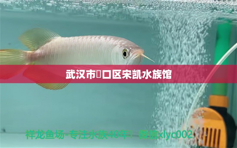 武漢市硚口區(qū)宋凱水族館