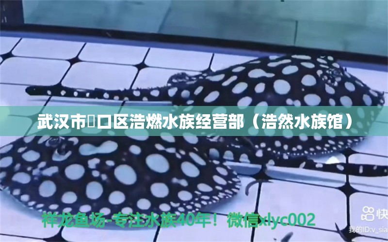 武漢市硚口區(qū)浩燃水族經(jīng)營部（浩然水族館）