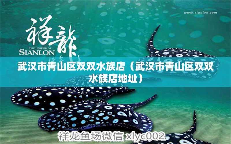 武漢市青山區(qū)雙雙水族店（武漢市青山區(qū)雙雙水族店地址）