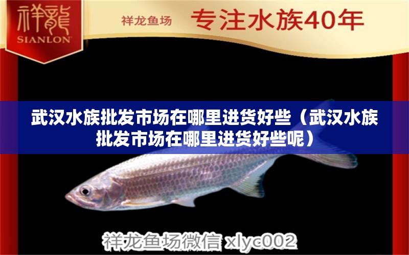 武漢水族批發(fā)市場(chǎng)在哪里進(jìn)貨好些（武漢水族批發(fā)市場(chǎng)在哪里進(jìn)貨好些呢） 觀賞魚水族批發(fā)市場(chǎng)