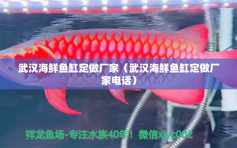 武漢海鮮魚缸定做廠家（武漢海鮮魚缸定做廠家電話）