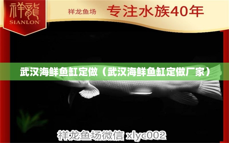 武漢海鮮魚(yú)缸定做（武漢海鮮魚(yú)缸定做廠家） 祥龍水族醫(yī)院